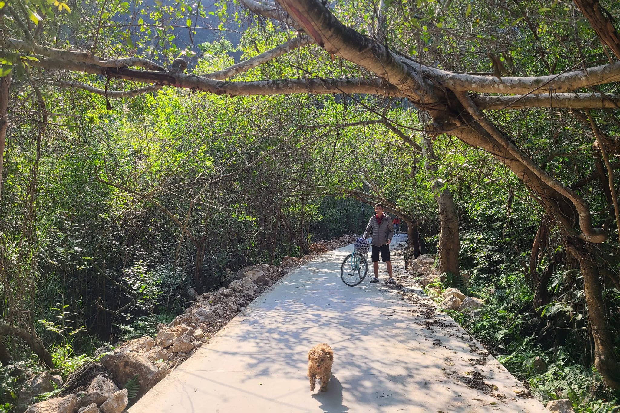 Tour trekking VQG Cát Bà - Việt Hải 